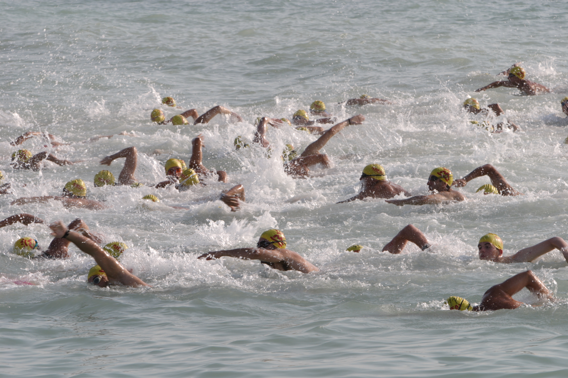 Copa de la Mediterrania Open Water Swim (23rd Edition)