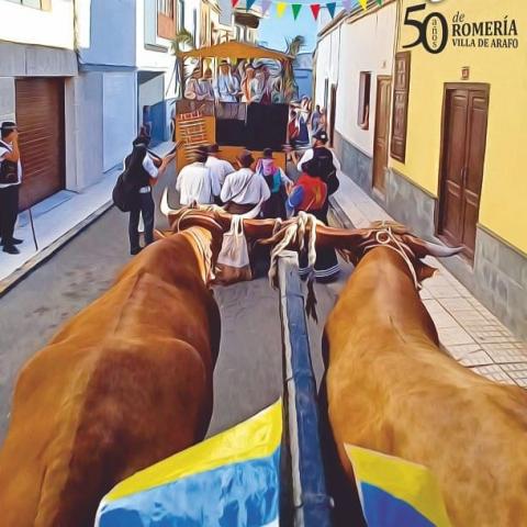 Romeria de San Agustin (Arafo Patron Festivities)