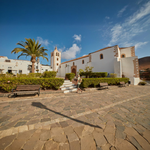 San Buenaventura Festivities