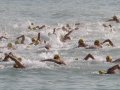 Copa de la Mediterrania Open Water Swim (23rd Edition)