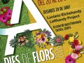 Flower Days in Son Bou